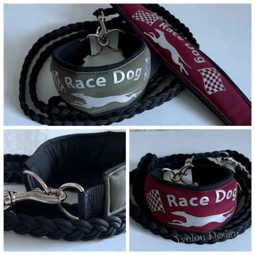 Starterhalsband Softshell "Race Dog diverse Farben"